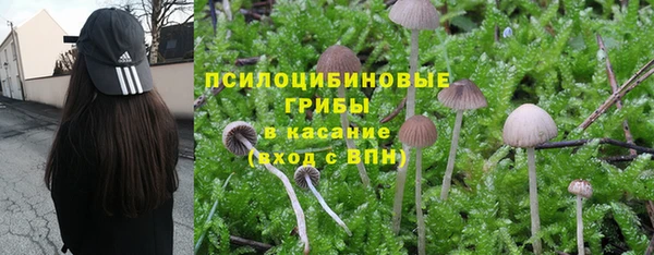 a pvp Осинники