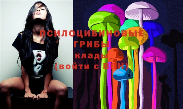 бошки Осташков