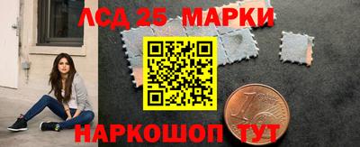 индика Кингисепп