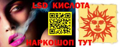 индика Кингисепп