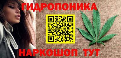индика Кингисепп