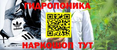 spice Кимры