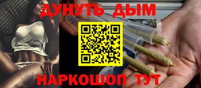 индика Кингисепп