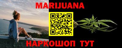 индика Кингисепп