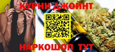 индика Кингисепп