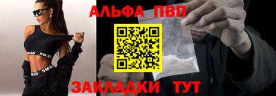 индика Кингисепп
