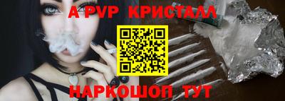 индика Кингисепп