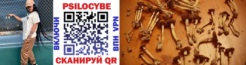 Галлюциногенные грибы Psilocybe Рославль