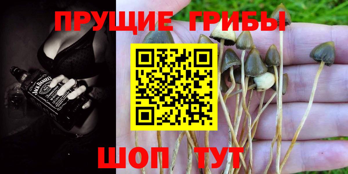 Галлюциногенные грибы Cubensis Рославль